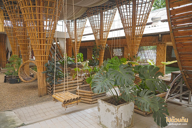 อยุธยา, คาเฟ่อยุธยา, เที่ยวอยุธยา, ayotthaya cafe  อโยธยา คาเฟ่ช้างอยุธยา จิบกาแฟชมเจดีย์ ปิคนิคถ่ายรูปให้อาหารช้าง