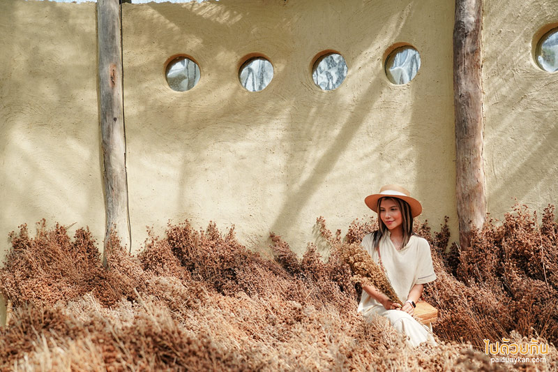 คาเฟ่แม่ริม, naturetalk, ร้านกาแฟดอกไม้แห้งแม่ริม, naturetalk คาเฟ่บ้านดิน กับมุมถ่ายภาพดอกไม้แห้งสุดปัง