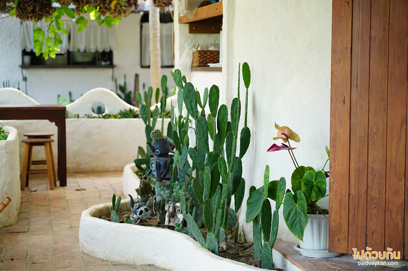 คาเฟ่แม่ริม, naturetalk, ร้านกาแฟดอกไม้แห้งแม่ริม, naturetalk คาเฟ่บ้านดิน กับมุมถ่ายภาพดอกไม้แห้งสุดปัง