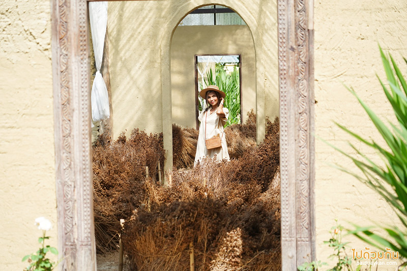 คาเฟ่แม่ริม, naturetalk, ร้านกาแฟดอกไม้แห้งแม่ริม, naturetalk คาเฟ่บ้านดิน กับมุมถ่ายภาพดอกไม้แห้งสุดปัง