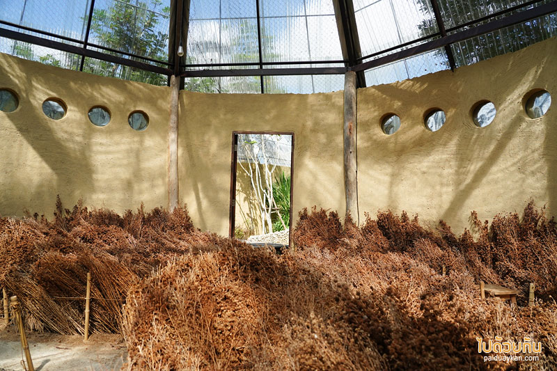 คาเฟ่แม่ริม, naturetalk, ร้านกาแฟดอกไม้แห้งแม่ริม, naturetalk คาเฟ่บ้านดิน กับมุมถ่ายภาพดอกไม้แห้งสุดปัง