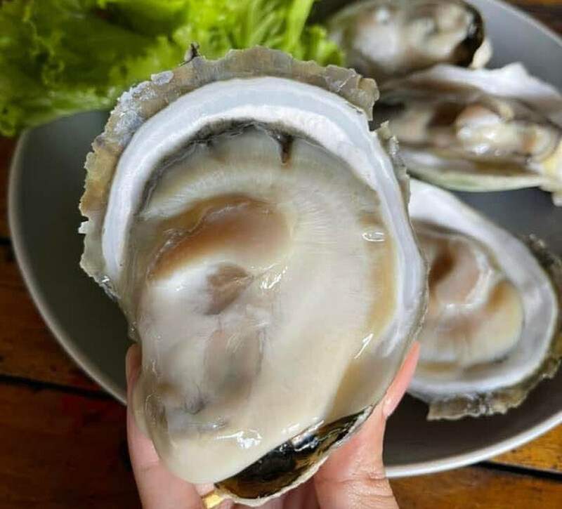 top 8+ ร้านอาหารชุมพร 2567 ร้านอาหารอร่อย ติดทะเล บรรยากาศดี