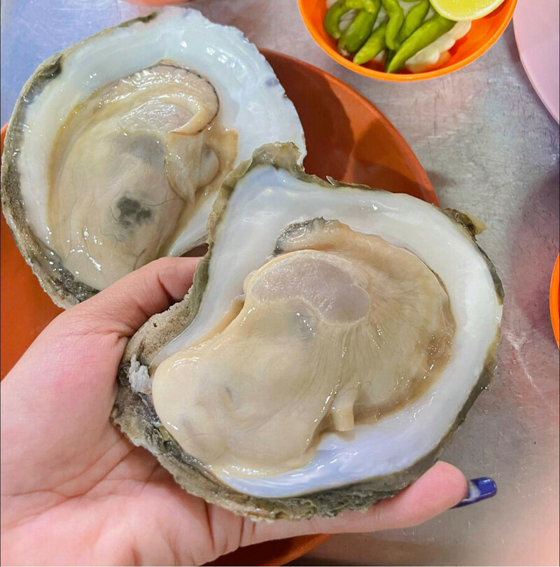 top 8+ ร้านอาหารชุมพร 2567 ร้านอาหารอร่อย ติดทะเล บรรยากาศดี