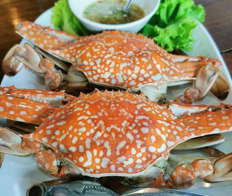 top 8+ ร้านอาหารชุมพร 2567 ร้านอาหารอร่อย ติดทะเล บรรยากาศดี