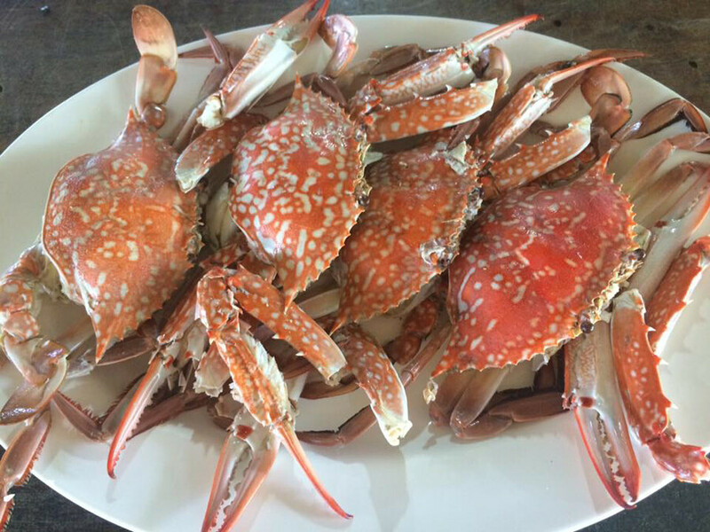 top 8+ ร้านอาหารชุมพร 2567 ร้านอาหารอร่อย ติดทะเล บรรยากาศดี