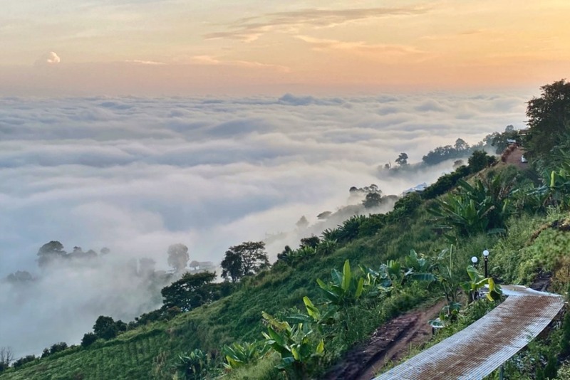 ดอยม่อนแจ่ม, ที่พักม่อนแจ่ม, ที่พักม่อนแจ่ม 2023, ที่พักม่อนแจ่ม 2024, ที่พักม่อนแจ่ม 2566, ที่พักม่อนแจ่ม 2567, ที่พักม่อนแจ่ม วิวสวย, ที่พักม่อนแจ่มสวยๆ, ที่พักเชียงใหม่, บ้านท่าจัน ม่อนแจ่ม, บ้านภูหมอก ม่อนแจ่ม, ภูดอย โฮมสเตย์ ม่อนแจ่ม, ม่อน p ม่อนแจ่ม, ม่อนทอแสง โฮมสเตย์ ม่อนแจ่ม, ม่อนสายลม ม่อนแจ่ม, ม่อนอิงดาว ม่อนแจ่ม, ม่อนแจ่ม, ม่อนแจ่ม ที่พัก, หุบเขาดาวเหนือ, ออนเซ็น แอท ม่อนแจ่ม, เดอะดอย ม่อนแจ่ม, ไร่ภูผาร่มเย็น ม่อนแจ่ม, ไร่ภูพญา, ไร่ภูพญา ม่อนแจ่ม, ไร่ภูพญา เชียงใหม่, ไร่สายหมอก ม่อนแจ่ม, top 20+ ที่พัก ม่อนแจ่ม [กรกฎาคม 2024] วิวสวย บรรยากาศดี มองเห็นทะเลหมอก