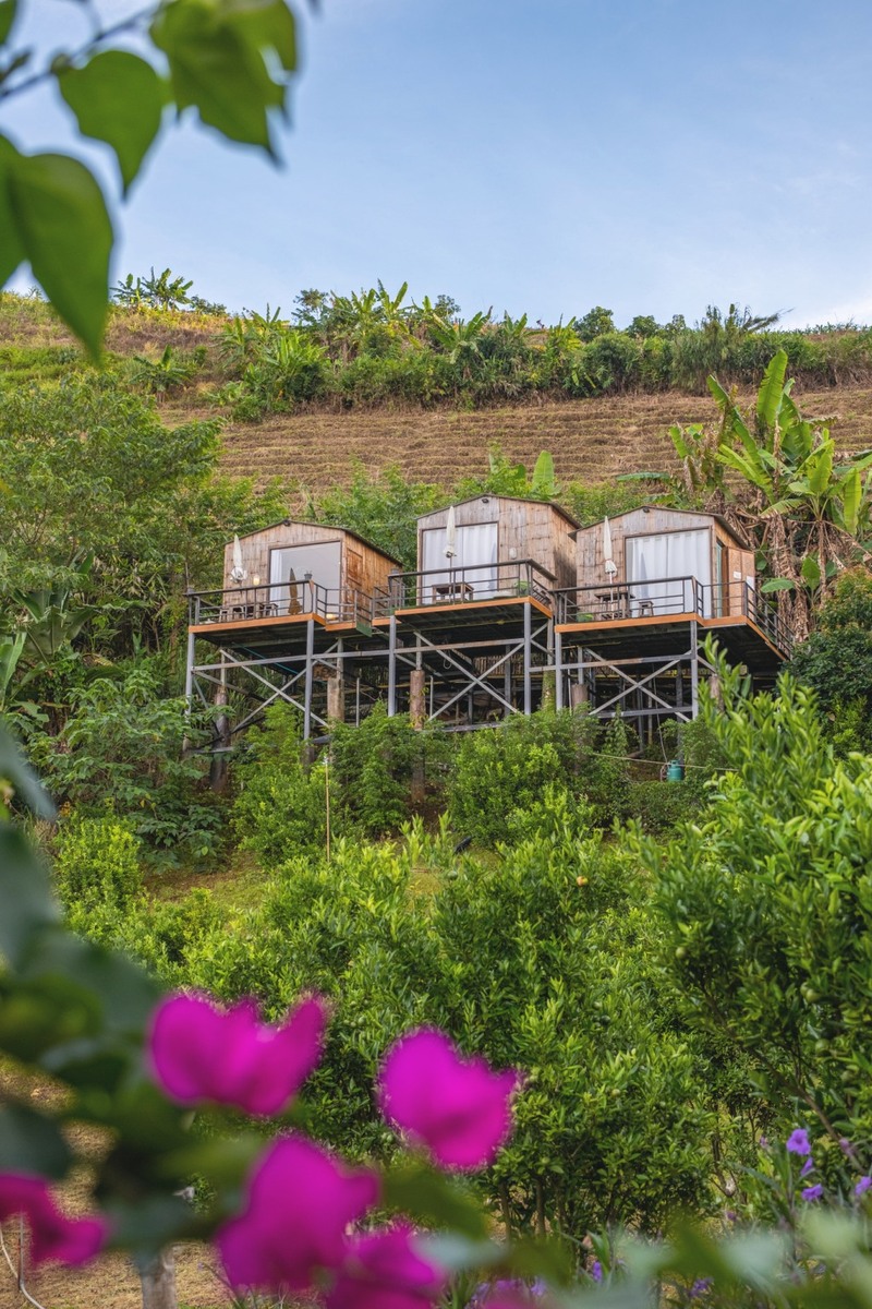 ดอยม่อนแจ่ม, ที่พักม่อนแจ่ม, ที่พักม่อนแจ่ม 2023, ที่พักม่อนแจ่ม 2024, ที่พักม่อนแจ่ม 2566, ที่พักม่อนแจ่ม 2567, ที่พักม่อนแจ่ม วิวสวย, ที่พักม่อนแจ่มสวยๆ, ที่พักเชียงใหม่, บ้านท่าจัน ม่อนแจ่ม, บ้านภูหมอก ม่อนแจ่ม, ภูดอย โฮมสเตย์ ม่อนแจ่ม, ม่อน p ม่อนแจ่ม, ม่อนทอแสง โฮมสเตย์ ม่อนแจ่ม, ม่อนสายลม ม่อนแจ่ม, ม่อนอิงดาว ม่อนแจ่ม, ม่อนแจ่ม, ม่อนแจ่ม ที่พัก, หุบเขาดาวเหนือ, ออนเซ็น แอท ม่อนแจ่ม, เดอะดอย ม่อนแจ่ม, ไร่ภูผาร่มเย็น ม่อนแจ่ม, ไร่ภูพญา, ไร่ภูพญา ม่อนแจ่ม, ไร่ภูพญา เชียงใหม่, ไร่สายหมอก ม่อนแจ่ม, top 20+ ที่พัก ม่อนแจ่ม [กรกฎาคม 2024] วิวสวย บรรยากาศดี มองเห็นทะเลหมอก