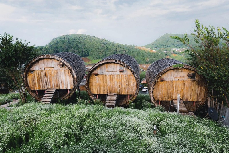 ดอยม่อนแจ่ม, ที่พักม่อนแจ่ม, ที่พักม่อนแจ่ม 2023, ที่พักม่อนแจ่ม 2024, ที่พักม่อนแจ่ม 2566, ที่พักม่อนแจ่ม 2567, ที่พักม่อนแจ่ม วิวสวย, ที่พักม่อนแจ่มสวยๆ, ที่พักเชียงใหม่, บ้านท่าจัน ม่อนแจ่ม, บ้านภูหมอก ม่อนแจ่ม, ภูดอย โฮมสเตย์ ม่อนแจ่ม, ม่อน p ม่อนแจ่ม, ม่อนทอแสง โฮมสเตย์ ม่อนแจ่ม, ม่อนสายลม ม่อนแจ่ม, ม่อนอิงดาว ม่อนแจ่ม, ม่อนแจ่ม, ม่อนแจ่ม ที่พัก, หุบเขาดาวเหนือ, ออนเซ็น แอท ม่อนแจ่ม, เดอะดอย ม่อนแจ่ม, ไร่ภูผาร่มเย็น ม่อนแจ่ม, ไร่ภูพญา, ไร่ภูพญา ม่อนแจ่ม, ไร่ภูพญา เชียงใหม่, ไร่สายหมอก ม่อนแจ่ม, top 20+ ที่พัก ม่อนแจ่ม [กรกฎาคม 2024] วิวสวย บรรยากาศดี มองเห็นทะเลหมอก