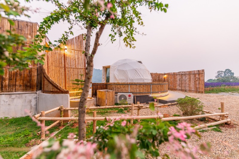 ดอยม่อนแจ่ม, ที่พักม่อนแจ่ม, ที่พักม่อนแจ่ม 2023, ที่พักม่อนแจ่ม 2024, ที่พักม่อนแจ่ม 2566, ที่พักม่อนแจ่ม 2567, ที่พักม่อนแจ่ม วิวสวย, ที่พักม่อนแจ่มสวยๆ, ที่พักเชียงใหม่, บ้านท่าจัน ม่อนแจ่ม, บ้านภูหมอก ม่อนแจ่ม, ภูดอย โฮมสเตย์ ม่อนแจ่ม, ม่อน p ม่อนแจ่ม, ม่อนทอแสง โฮมสเตย์ ม่อนแจ่ม, ม่อนสายลม ม่อนแจ่ม, ม่อนอิงดาว ม่อนแจ่ม, ม่อนแจ่ม, ม่อนแจ่ม ที่พัก, หุบเขาดาวเหนือ, ออนเซ็น แอท ม่อนแจ่ม, เดอะดอย ม่อนแจ่ม, ไร่ภูผาร่มเย็น ม่อนแจ่ม, ไร่ภูพญา, ไร่ภูพญา ม่อนแจ่ม, ไร่ภูพญา เชียงใหม่, ไร่สายหมอก ม่อนแจ่ม, top 20+ ที่พัก ม่อนแจ่ม [กรกฎาคม 2024] วิวสวย บรรยากาศดี มองเห็นทะเลหมอก