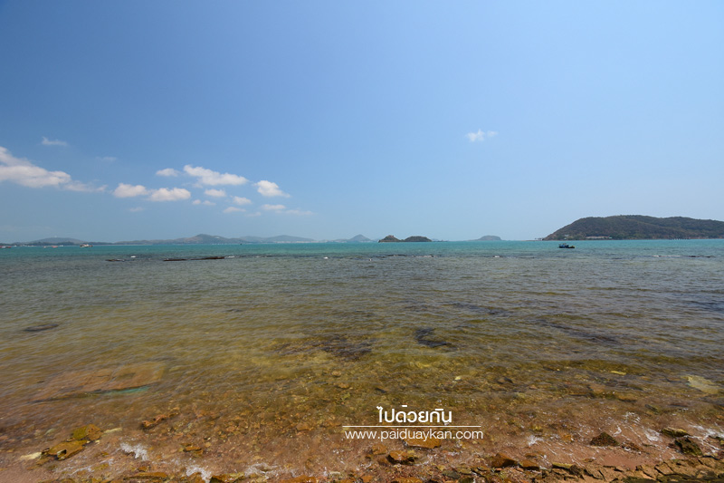 สัตหีบ, ร้านกาแฟสัตหีบ, คาเฟ่สัตหีบ, cafe amazon สัตหีบ, คาเฟ่อเมซอน สัตหีบ, cafe amazon คาเฟ่ริมทะเล ในสัตหีบ