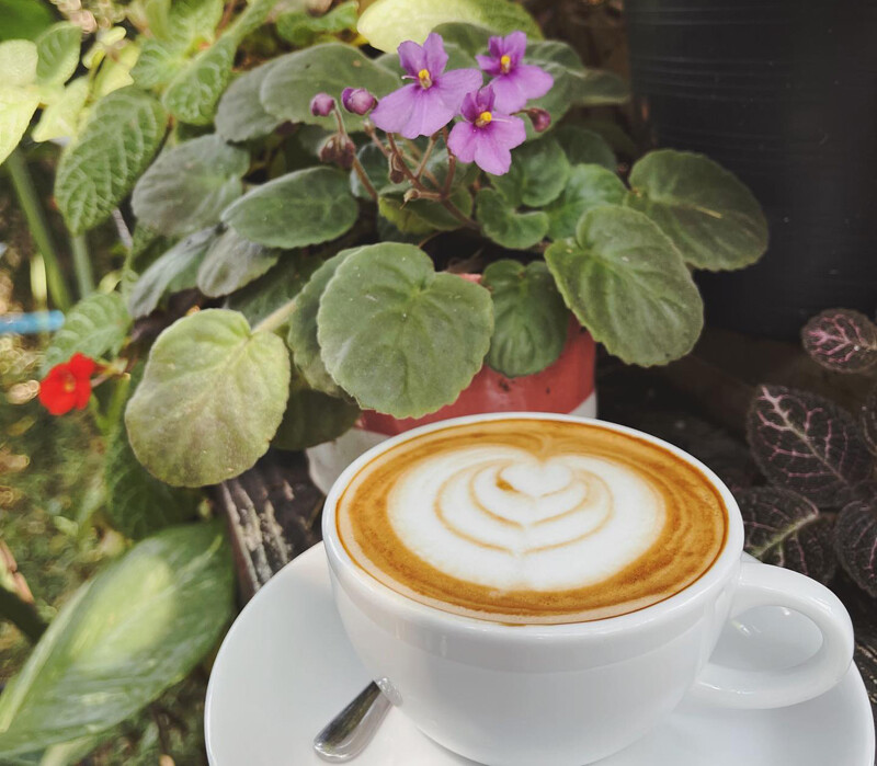 top 16+ คาเฟ่ลำพูน 2567 คาเฟ่เปิดใหม่ บรรยากาศดี ร้านสวย น่าแวะจิบกาแฟ