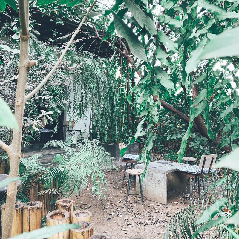 top 16+ คาเฟ่ลำพูน 2567 คาเฟ่เปิดใหม่ บรรยากาศดี ร้านสวย น่าแวะจิบกาแฟ