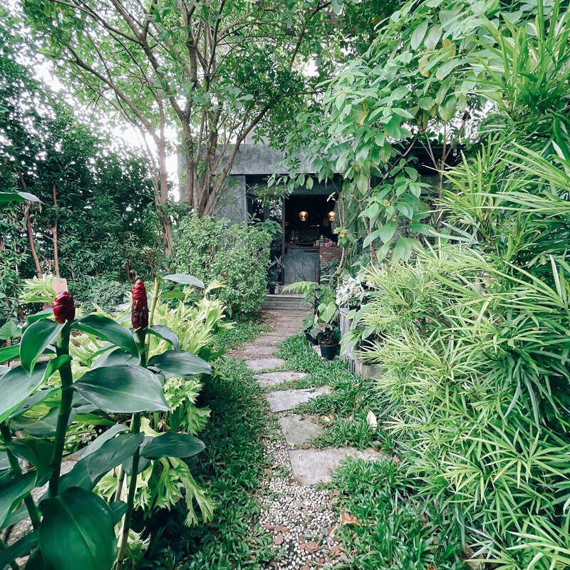 top 16+ คาเฟ่ลำพูน 2567 คาเฟ่เปิดใหม่ บรรยากาศดี ร้านสวย น่าแวะจิบกาแฟ