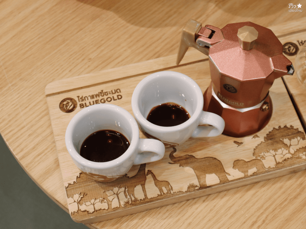bluegold coffee, bluegold เชียงใหม่, กาแฟขี้ชะมดเชียงใหม่, ร้านกาแฟขี้ชะมดเชียงใหม่, ไร่กาแฟขี้ชะมดbluegold, กาแฟโครตแพงแต่เข้มแรงถึงใจ ที่ ไร่กาแฟขี้ชะมด bluegold เซ็นทรัล เฟสติวัล เชียงใหม่