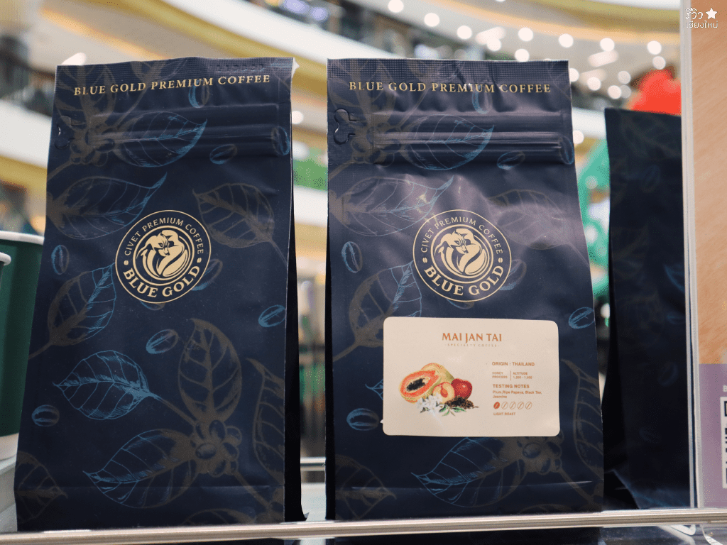 bluegold coffee, bluegold เชียงใหม่, กาแฟขี้ชะมดเชียงใหม่, ร้านกาแฟขี้ชะมดเชียงใหม่, ไร่กาแฟขี้ชะมดbluegold, กาแฟโครตแพงแต่เข้มแรงถึงใจ ที่ ไร่กาแฟขี้ชะมด bluegold เซ็นทรัล เฟสติวัล เชียงใหม่