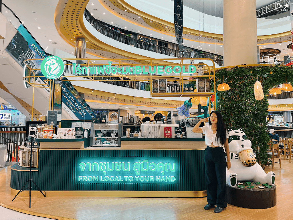 bluegold coffee, bluegold เชียงใหม่, กาแฟขี้ชะมดเชียงใหม่, ร้านกาแฟขี้ชะมดเชียงใหม่, ไร่กาแฟขี้ชะมดbluegold, กาแฟโครตแพงแต่เข้มแรงถึงใจ ที่ ไร่กาแฟขี้ชะมด bluegold เซ็นทรัล เฟสติวัล เชียงใหม่