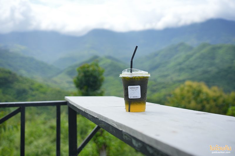 ร้านกาแฟเขาค้อ, เขาค้อ, คาเฟ่เขาค้อ, ธรรมชาติ byคืนชีวิตให้แผ่นดิน, ธรรมชาติ @เขาค้อ ร้านกาแฟวิวสุดปัง เครื่องดื่มรสเข้ม