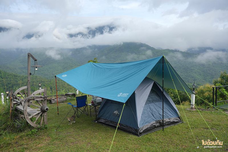 ร้านกาแฟเขาค้อ, เขาค้อ, คาเฟ่เขาค้อ, ธรรมชาติ byคืนชีวิตให้แผ่นดิน, ธรรมชาติ @เขาค้อ ร้านกาแฟวิวสุดปัง เครื่องดื่มรสเข้ม