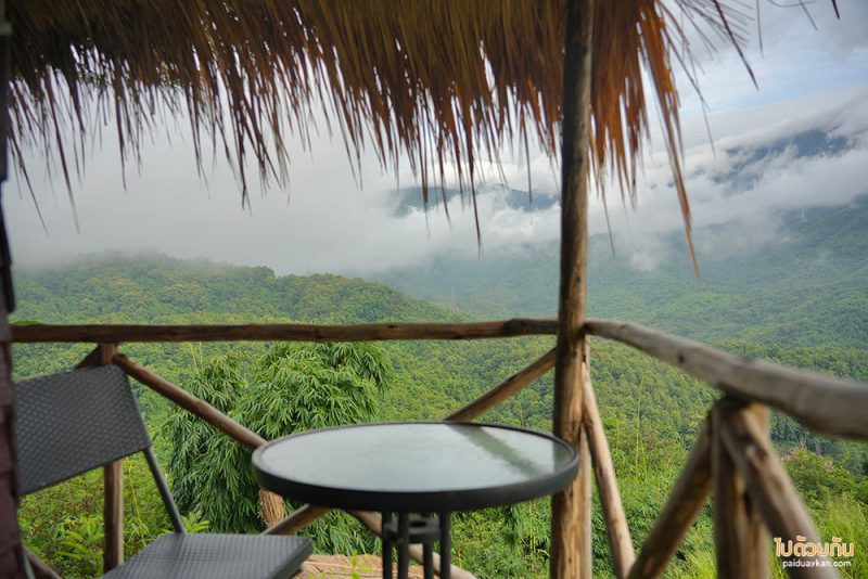 ร้านกาแฟเขาค้อ, เขาค้อ, คาเฟ่เขาค้อ, ธรรมชาติ byคืนชีวิตให้แผ่นดิน, ธรรมชาติ @เขาค้อ ร้านกาแฟวิวสุดปัง เครื่องดื่มรสเข้ม