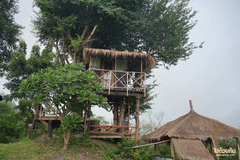 ร้านกาแฟเขาค้อ, เขาค้อ, คาเฟ่เขาค้อ, ธรรมชาติ byคืนชีวิตให้แผ่นดิน, ธรรมชาติ @เขาค้อ ร้านกาแฟวิวสุดปัง เครื่องดื่มรสเข้ม