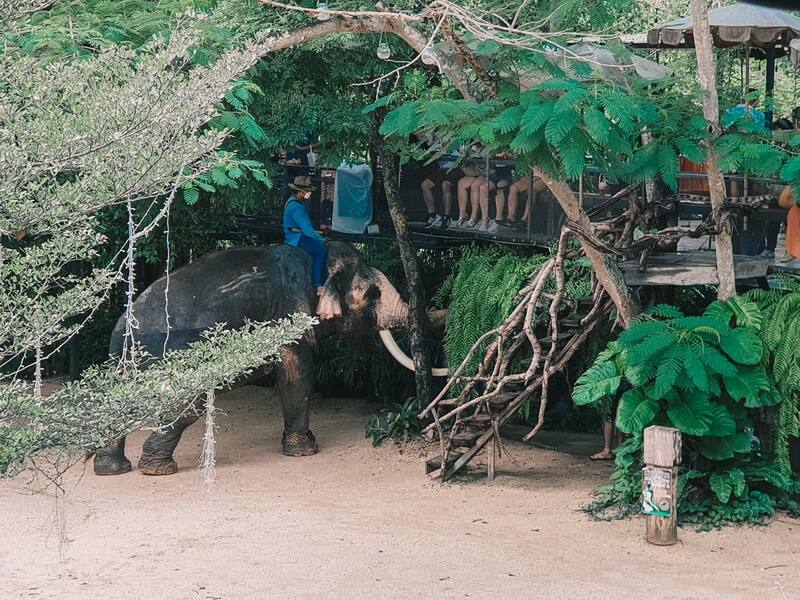 mongchang café สัมผัสความสุขกับกิจกรรมใหม่ๆ ที่มองช้างคาเฟ่