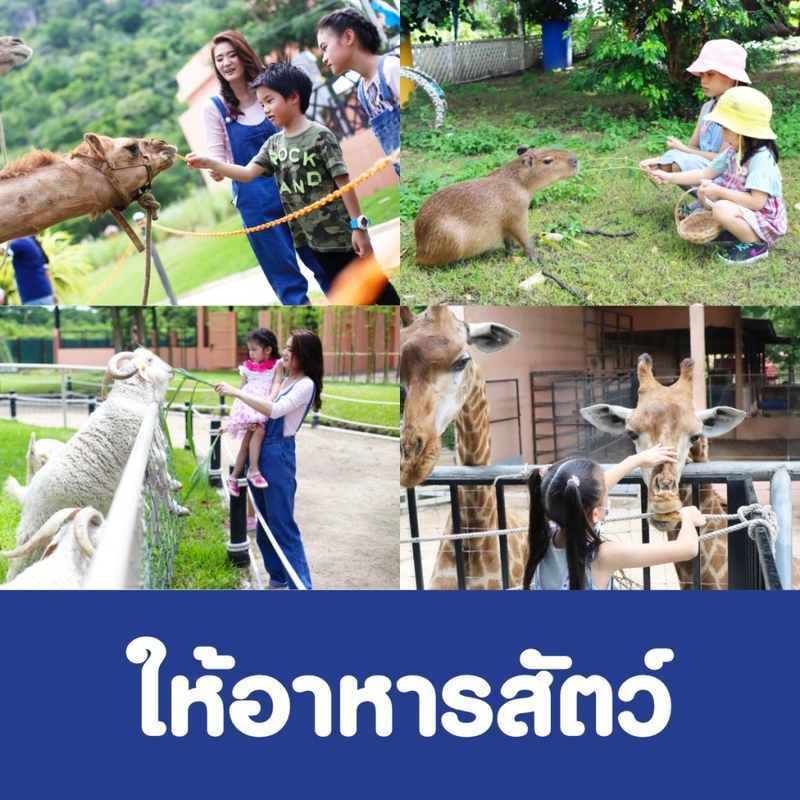 away by a day, camel republic, huai wonder camp, the field animals dream, tumlay cafe & bar, unseen thailand, คาเฟ่เพชรบุรี, คาเมลรีพับลิค, จันทร์จ้าว cafe & restaurant, ช่องกระจกนางพันธุรัต, ชะอำ, ต้นไม้ใบหญ้า คาเฟ่, ตลาดน้ำกวางโจว, ตลาดน้ำบนน้ำตก, ถ้ำวิมานจักรี, ถ้ำเขาย้อย, ที่เที่ยวเพชรบุรี, ที่เที่ยวเพชรบุรี 2023, ที่เที่ยวเพชรบุรี 2024, ที่เที่ยวเพชรบุรี 2566, ที่เที่ยวเพชรบุรี 2567, พระธาตุฉิมพลีพระเศรษฐีนวโกฏิ, พระนครคีรี, พระปรางค์ 5 ยอด, พระรามราชนิเวศน์, พระสังฆราชแตงโม, ยุ้งเกลือ บ้านแหลม, ลานผีเสื้อ, วังบ้านปืน, วัดข่อย, วัดถ้ำเขาหลวง, วัดมหาธาตุ, วัดมหาธาตุวรวิหาร, วัดใหญ่สุวรรณารามวรวิหาร, สวนสนุก, สวนสัตว์, สวิสเซอร์แลนด์ แดนเพชรบุรี, สะพานอ่าวบางตะบูน, สะพานแขวนเขื่อนแก่งกระจาน, หลวงพ่อหกนิ้ว, ห้วยสงสัยแคมป์, หาดชะอำ, หาดปึกเตียน, หาดเจ้าสำราญ, อ่าวบางตะบูน, อุทยานประวัติศาสตร์พระนครคีรี, เขานางนอน, เขานางพันธุรัต, เขาพะเนินทุ่ง, เขาวัง, เขาอีบิด, เขื่อนแก่งกระจาน, เดอะฟิลด์แอนนิมอลดรีมฟาร์มแอนด์การ์เด้น, เที่ยวเพชรบุรี, เพชรบุรี, แคมป์บ้านกร่าง, โครงการชั่งหัวมัน, top 26+ ที่เที่ยวเพชรบุรี [กรกฎาคม 2024] ท่องประวัติศาสตร์ พักผ่อนริมหาด สัมผัสธรรมชาติริมเขา