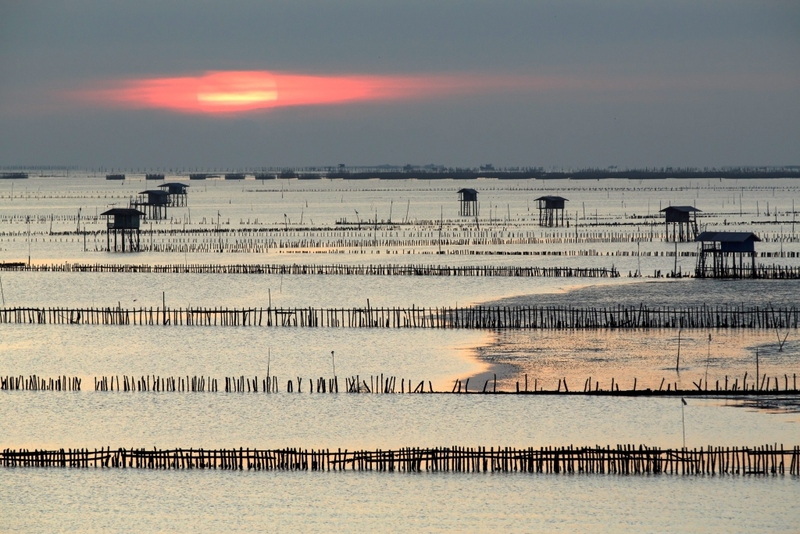 away by a day, camel republic, huai wonder camp, the field animals dream, tumlay cafe & bar, unseen thailand, คาเฟ่เพชรบุรี, คาเมลรีพับลิค, จันทร์จ้าว cafe & restaurant, ช่องกระจกนางพันธุรัต, ชะอำ, ต้นไม้ใบหญ้า คาเฟ่, ตลาดน้ำกวางโจว, ตลาดน้ำบนน้ำตก, ถ้ำวิมานจักรี, ถ้ำเขาย้อย, ที่เที่ยวเพชรบุรี, ที่เที่ยวเพชรบุรี 2023, ที่เที่ยวเพชรบุรี 2024, ที่เที่ยวเพชรบุรี 2566, ที่เที่ยวเพชรบุรี 2567, พระธาตุฉิมพลีพระเศรษฐีนวโกฏิ, พระนครคีรี, พระปรางค์ 5 ยอด, พระรามราชนิเวศน์, พระสังฆราชแตงโม, ยุ้งเกลือ บ้านแหลม, ลานผีเสื้อ, วังบ้านปืน, วัดข่อย, วัดถ้ำเขาหลวง, วัดมหาธาตุ, วัดมหาธาตุวรวิหาร, วัดใหญ่สุวรรณารามวรวิหาร, สวนสนุก, สวนสัตว์, สวิสเซอร์แลนด์ แดนเพชรบุรี, สะพานอ่าวบางตะบูน, สะพานแขวนเขื่อนแก่งกระจาน, หลวงพ่อหกนิ้ว, ห้วยสงสัยแคมป์, หาดชะอำ, หาดปึกเตียน, หาดเจ้าสำราญ, อ่าวบางตะบูน, อุทยานประวัติศาสตร์พระนครคีรี, เขานางนอน, เขานางพันธุรัต, เขาพะเนินทุ่ง, เขาวัง, เขาอีบิด, เขื่อนแก่งกระจาน, เดอะฟิลด์แอนนิมอลดรีมฟาร์มแอนด์การ์เด้น, เที่ยวเพชรบุรี, เพชรบุรี, แคมป์บ้านกร่าง, โครงการชั่งหัวมัน, top 26+ ที่เที่ยวเพชรบุรี [กรกฎาคม 2024] ท่องประวัติศาสตร์ พักผ่อนริมหาด สัมผัสธรรมชาติริมเขา