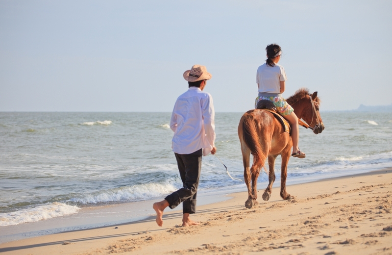 away by a day, camel republic, huai wonder camp, the field animals dream, tumlay cafe & bar, unseen thailand, คาเฟ่เพชรบุรี, คาเมลรีพับลิค, จันทร์จ้าว cafe & restaurant, ช่องกระจกนางพันธุรัต, ชะอำ, ต้นไม้ใบหญ้า คาเฟ่, ตลาดน้ำกวางโจว, ตลาดน้ำบนน้ำตก, ถ้ำวิมานจักรี, ถ้ำเขาย้อย, ที่เที่ยวเพชรบุรี, ที่เที่ยวเพชรบุรี 2023, ที่เที่ยวเพชรบุรี 2024, ที่เที่ยวเพชรบุรี 2566, ที่เที่ยวเพชรบุรี 2567, พระธาตุฉิมพลีพระเศรษฐีนวโกฏิ, พระนครคีรี, พระปรางค์ 5 ยอด, พระรามราชนิเวศน์, พระสังฆราชแตงโม, ยุ้งเกลือ บ้านแหลม, ลานผีเสื้อ, วังบ้านปืน, วัดข่อย, วัดถ้ำเขาหลวง, วัดมหาธาตุ, วัดมหาธาตุวรวิหาร, วัดใหญ่สุวรรณารามวรวิหาร, สวนสนุก, สวนสัตว์, สวิสเซอร์แลนด์ แดนเพชรบุรี, สะพานอ่าวบางตะบูน, สะพานแขวนเขื่อนแก่งกระจาน, หลวงพ่อหกนิ้ว, ห้วยสงสัยแคมป์, หาดชะอำ, หาดปึกเตียน, หาดเจ้าสำราญ, อ่าวบางตะบูน, อุทยานประวัติศาสตร์พระนครคีรี, เขานางนอน, เขานางพันธุรัต, เขาพะเนินทุ่ง, เขาวัง, เขาอีบิด, เขื่อนแก่งกระจาน, เดอะฟิลด์แอนนิมอลดรีมฟาร์มแอนด์การ์เด้น, เที่ยวเพชรบุรี, เพชรบุรี, แคมป์บ้านกร่าง, โครงการชั่งหัวมัน, top 26+ ที่เที่ยวเพชรบุรี [กรกฎาคม 2024] ท่องประวัติศาสตร์ พักผ่อนริมหาด สัมผัสธรรมชาติริมเขา