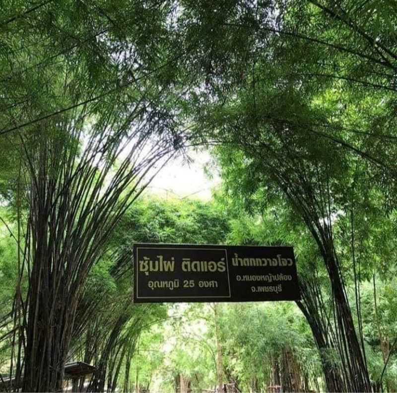 away by a day, camel republic, huai wonder camp, the field animals dream, tumlay cafe & bar, unseen thailand, คาเฟ่เพชรบุรี, คาเมลรีพับลิค, จันทร์จ้าว cafe & restaurant, ช่องกระจกนางพันธุรัต, ชะอำ, ต้นไม้ใบหญ้า คาเฟ่, ตลาดน้ำกวางโจว, ตลาดน้ำบนน้ำตก, ถ้ำวิมานจักรี, ถ้ำเขาย้อย, ที่เที่ยวเพชรบุรี, ที่เที่ยวเพชรบุรี 2023, ที่เที่ยวเพชรบุรี 2024, ที่เที่ยวเพชรบุรี 2566, ที่เที่ยวเพชรบุรี 2567, พระธาตุฉิมพลีพระเศรษฐีนวโกฏิ, พระนครคีรี, พระปรางค์ 5 ยอด, พระรามราชนิเวศน์, พระสังฆราชแตงโม, ยุ้งเกลือ บ้านแหลม, ลานผีเสื้อ, วังบ้านปืน, วัดข่อย, วัดถ้ำเขาหลวง, วัดมหาธาตุ, วัดมหาธาตุวรวิหาร, วัดใหญ่สุวรรณารามวรวิหาร, สวนสนุก, สวนสัตว์, สวิสเซอร์แลนด์ แดนเพชรบุรี, สะพานอ่าวบางตะบูน, สะพานแขวนเขื่อนแก่งกระจาน, หลวงพ่อหกนิ้ว, ห้วยสงสัยแคมป์, หาดชะอำ, หาดปึกเตียน, หาดเจ้าสำราญ, อ่าวบางตะบูน, อุทยานประวัติศาสตร์พระนครคีรี, เขานางนอน, เขานางพันธุรัต, เขาพะเนินทุ่ง, เขาวัง, เขาอีบิด, เขื่อนแก่งกระจาน, เดอะฟิลด์แอนนิมอลดรีมฟาร์มแอนด์การ์เด้น, เที่ยวเพชรบุรี, เพชรบุรี, แคมป์บ้านกร่าง, โครงการชั่งหัวมัน, top 26+ ที่เที่ยวเพชรบุรี [กรกฎาคม 2024] ท่องประวัติศาสตร์ พักผ่อนริมหาด สัมผัสธรรมชาติริมเขา