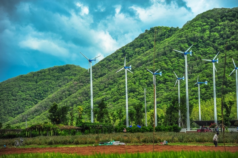 away by a day, camel republic, huai wonder camp, the field animals dream, tumlay cafe & bar, unseen thailand, คาเฟ่เพชรบุรี, คาเมลรีพับลิค, จันทร์จ้าว cafe & restaurant, ช่องกระจกนางพันธุรัต, ชะอำ, ต้นไม้ใบหญ้า คาเฟ่, ตลาดน้ำกวางโจว, ตลาดน้ำบนน้ำตก, ถ้ำวิมานจักรี, ถ้ำเขาย้อย, ที่เที่ยวเพชรบุรี, ที่เที่ยวเพชรบุรี 2023, ที่เที่ยวเพชรบุรี 2024, ที่เที่ยวเพชรบุรี 2566, ที่เที่ยวเพชรบุรี 2567, พระธาตุฉิมพลีพระเศรษฐีนวโกฏิ, พระนครคีรี, พระปรางค์ 5 ยอด, พระรามราชนิเวศน์, พระสังฆราชแตงโม, ยุ้งเกลือ บ้านแหลม, ลานผีเสื้อ, วังบ้านปืน, วัดข่อย, วัดถ้ำเขาหลวง, วัดมหาธาตุ, วัดมหาธาตุวรวิหาร, วัดใหญ่สุวรรณารามวรวิหาร, สวนสนุก, สวนสัตว์, สวิสเซอร์แลนด์ แดนเพชรบุรี, สะพานอ่าวบางตะบูน, สะพานแขวนเขื่อนแก่งกระจาน, หลวงพ่อหกนิ้ว, ห้วยสงสัยแคมป์, หาดชะอำ, หาดปึกเตียน, หาดเจ้าสำราญ, อ่าวบางตะบูน, อุทยานประวัติศาสตร์พระนครคีรี, เขานางนอน, เขานางพันธุรัต, เขาพะเนินทุ่ง, เขาวัง, เขาอีบิด, เขื่อนแก่งกระจาน, เดอะฟิลด์แอนนิมอลดรีมฟาร์มแอนด์การ์เด้น, เที่ยวเพชรบุรี, เพชรบุรี, แคมป์บ้านกร่าง, โครงการชั่งหัวมัน, top 26+ ที่เที่ยวเพชรบุรี [กรกฎาคม 2024] ท่องประวัติศาสตร์ พักผ่อนริมหาด สัมผัสธรรมชาติริมเขา