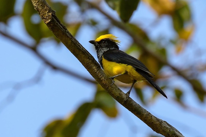 away by a day, camel republic, huai wonder camp, the field animals dream, tumlay cafe & bar, unseen thailand, คาเฟ่เพชรบุรี, คาเมลรีพับลิค, จันทร์จ้าว cafe & restaurant, ช่องกระจกนางพันธุรัต, ชะอำ, ต้นไม้ใบหญ้า คาเฟ่, ตลาดน้ำกวางโจว, ตลาดน้ำบนน้ำตก, ถ้ำวิมานจักรี, ถ้ำเขาย้อย, ที่เที่ยวเพชรบุรี, ที่เที่ยวเพชรบุรี 2023, ที่เที่ยวเพชรบุรี 2024, ที่เที่ยวเพชรบุรี 2566, ที่เที่ยวเพชรบุรี 2567, พระธาตุฉิมพลีพระเศรษฐีนวโกฏิ, พระนครคีรี, พระปรางค์ 5 ยอด, พระรามราชนิเวศน์, พระสังฆราชแตงโม, ยุ้งเกลือ บ้านแหลม, ลานผีเสื้อ, วังบ้านปืน, วัดข่อย, วัดถ้ำเขาหลวง, วัดมหาธาตุ, วัดมหาธาตุวรวิหาร, วัดใหญ่สุวรรณารามวรวิหาร, สวนสนุก, สวนสัตว์, สวิสเซอร์แลนด์ แดนเพชรบุรี, สะพานอ่าวบางตะบูน, สะพานแขวนเขื่อนแก่งกระจาน, หลวงพ่อหกนิ้ว, ห้วยสงสัยแคมป์, หาดชะอำ, หาดปึกเตียน, หาดเจ้าสำราญ, อ่าวบางตะบูน, อุทยานประวัติศาสตร์พระนครคีรี, เขานางนอน, เขานางพันธุรัต, เขาพะเนินทุ่ง, เขาวัง, เขาอีบิด, เขื่อนแก่งกระจาน, เดอะฟิลด์แอนนิมอลดรีมฟาร์มแอนด์การ์เด้น, เที่ยวเพชรบุรี, เพชรบุรี, แคมป์บ้านกร่าง, โครงการชั่งหัวมัน, top 26+ ที่เที่ยวเพชรบุรี [กรกฎาคม 2024] ท่องประวัติศาสตร์ พักผ่อนริมหาด สัมผัสธรรมชาติริมเขา
