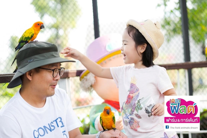 away by a day, camel republic, huai wonder camp, the field animals dream, tumlay cafe & bar, unseen thailand, คาเฟ่เพชรบุรี, คาเมลรีพับลิค, จันทร์จ้าว cafe & restaurant, ช่องกระจกนางพันธุรัต, ชะอำ, ต้นไม้ใบหญ้า คาเฟ่, ตลาดน้ำกวางโจว, ตลาดน้ำบนน้ำตก, ถ้ำวิมานจักรี, ถ้ำเขาย้อย, ที่เที่ยวเพชรบุรี, ที่เที่ยวเพชรบุรี 2023, ที่เที่ยวเพชรบุรี 2024, ที่เที่ยวเพชรบุรี 2566, ที่เที่ยวเพชรบุรี 2567, พระธาตุฉิมพลีพระเศรษฐีนวโกฏิ, พระนครคีรี, พระปรางค์ 5 ยอด, พระรามราชนิเวศน์, พระสังฆราชแตงโม, ยุ้งเกลือ บ้านแหลม, ลานผีเสื้อ, วังบ้านปืน, วัดข่อย, วัดถ้ำเขาหลวง, วัดมหาธาตุ, วัดมหาธาตุวรวิหาร, วัดใหญ่สุวรรณารามวรวิหาร, สวนสนุก, สวนสัตว์, สวิสเซอร์แลนด์ แดนเพชรบุรี, สะพานอ่าวบางตะบูน, สะพานแขวนเขื่อนแก่งกระจาน, หลวงพ่อหกนิ้ว, ห้วยสงสัยแคมป์, หาดชะอำ, หาดปึกเตียน, หาดเจ้าสำราญ, อ่าวบางตะบูน, อุทยานประวัติศาสตร์พระนครคีรี, เขานางนอน, เขานางพันธุรัต, เขาพะเนินทุ่ง, เขาวัง, เขาอีบิด, เขื่อนแก่งกระจาน, เดอะฟิลด์แอนนิมอลดรีมฟาร์มแอนด์การ์เด้น, เที่ยวเพชรบุรี, เพชรบุรี, แคมป์บ้านกร่าง, โครงการชั่งหัวมัน, top 26+ ที่เที่ยวเพชรบุรี [กรกฎาคม 2024] ท่องประวัติศาสตร์ พักผ่อนริมหาด สัมผัสธรรมชาติริมเขา