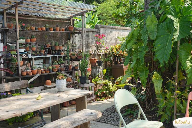 คาเฟ่ศรีราชา, ศรีราชา, mother มาเธอร์ คาเฟ่มู้ดดี ในบ้านไม้อบอุ่น ไอศครีมอร่อย