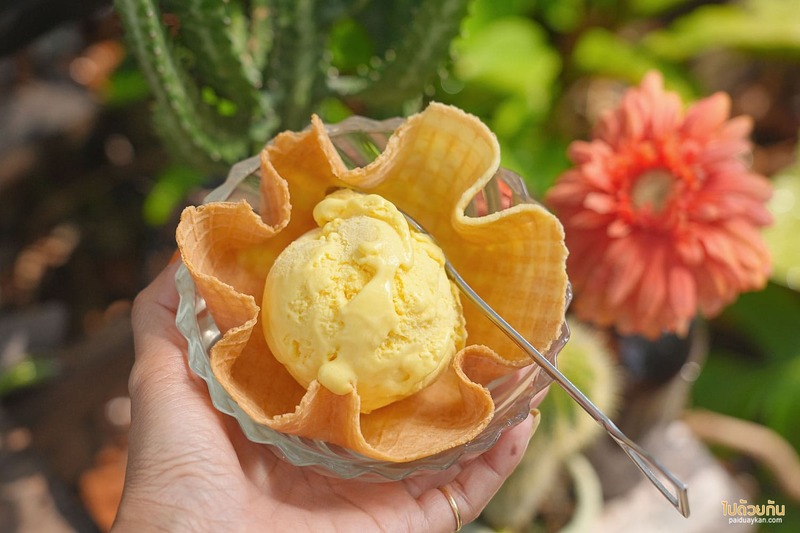 คาเฟ่ศรีราชา, ศรีราชา, mother มาเธอร์ คาเฟ่มู้ดดี ในบ้านไม้อบอุ่น ไอศครีมอร่อย