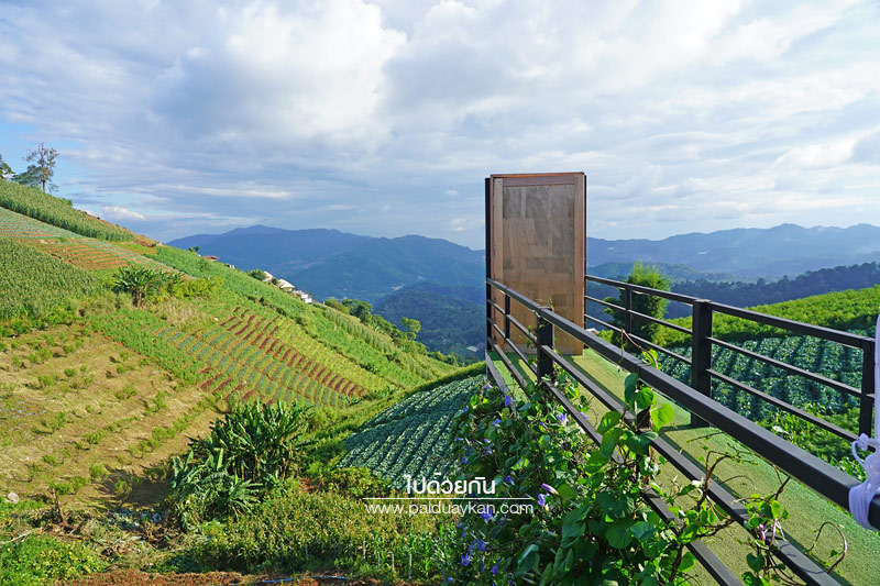 ร้านกาแฟม่อนแจ่ม, คาเฟ่ม่อนแจ่ม, ม่อนแจ่ม, ภูวินคาเฟ่, ภูวินคาเฟ่ ร้านกาแฟวิวสวยบนดอยม่อนแจ่ม