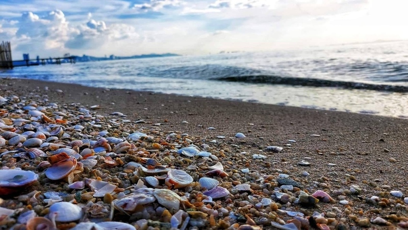 aloha beach cafe, artory cafe and crafts, austin cafe, daydream cafe, daydream café chonburi, hidden lab, highway cafe, milk mountain, milk mountain cafe & restaurant, namon nomwan, nomisuke, nomisuke ramen, open house cafe, peeps breakfast and bar, red temp coffee, seafood club bangsaen, serene house cafe, starter on the beach  (tiny island cafe), the tide cafe, tiny island cafe, tree 33, uncloud coffee, way coffee house, white house beach, white house beach café and restaurant, woowon, คาเฟ่ชลบุรี 2024, คาเฟ่ชลบุรี 2567, คาเฟ่บางแสน, คาเฟ่บางแสน 2024, คาเฟ่บางแสน 2567, คาเฟ่ริมชายหาด, คาเฟ่ริมทะเลบางแสน, คาเฟ่ลับ บางแสน, คาเฟ่เปิดใหม่ บางแสน, คาเฟ่เปิดใหม่บางแสน 2567, คาเฟ่ใกล้ฉัน, ซีฟู้ดคลับ บางแสน, ซีรีนเฮาท์คาเฟ่, บางแสน, บางแสน คาเฟ่, บางแสน คาเฟ่ 2567, มิลค์เม้าเท่น, วูวอน คาเฟ่, หน้ามน หนมหวาน, อันคลาวด์ คาเฟ่, อโลฮาบีช คาเฟ่, ฮิดเดน แลป, เวคอฟฟี่เฮ้าส์, ไฮเวย์ คาเฟ่, ไฮเวย์ คาเฟ่ บางแสน, top 20+ คาเฟ่บางแสน [กรกฎาคม 2024] ดินแดนแห่งคอนเทนท์ริมทะเล นั่งชิลล์จิบกาแฟ ถ่ายรูปเช็คอินรัว ๆ