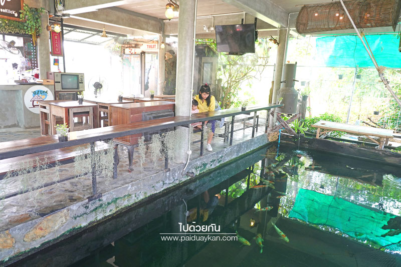 บางกะเจ้า, ดิโอโซน คาเฟ่ บางกระเจ้า, ร้านกาแฟบ้านกระเจ้า, the ozone café บางกระเจ้า, the ozone café บางกระเจ้า คาเฟ่สีเขียวกลางสวนมะพร้าว