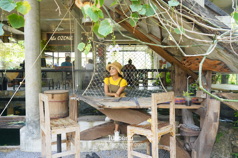 บางกะเจ้า, ดิโอโซน คาเฟ่ บางกระเจ้า, ร้านกาแฟบ้านกระเจ้า, the ozone café บางกระเจ้า, the ozone café บางกระเจ้า คาเฟ่สีเขียวกลางสวนมะพร้าว