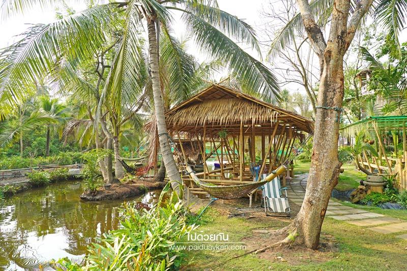 บางกะเจ้า, ดิโอโซน คาเฟ่ บางกระเจ้า, ร้านกาแฟบ้านกระเจ้า, the ozone café บางกระเจ้า, the ozone café บางกระเจ้า คาเฟ่สีเขียวกลางสวนมะพร้าว