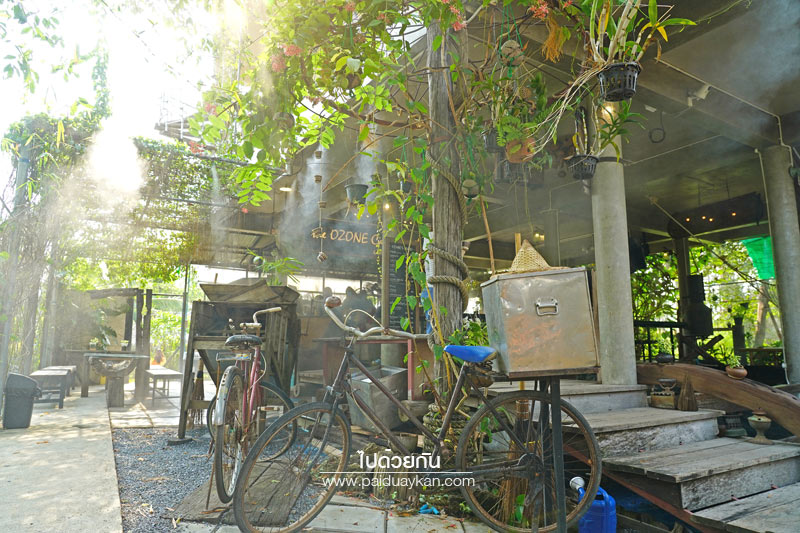 บางกะเจ้า, ดิโอโซน คาเฟ่ บางกระเจ้า, ร้านกาแฟบ้านกระเจ้า, the ozone café บางกระเจ้า, the ozone café บางกระเจ้า คาเฟ่สีเขียวกลางสวนมะพร้าว