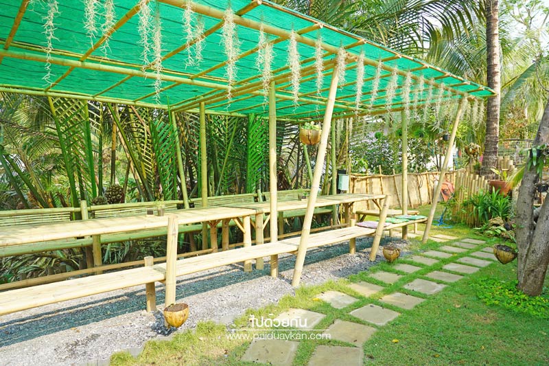 บางกะเจ้า, ดิโอโซน คาเฟ่ บางกระเจ้า, ร้านกาแฟบ้านกระเจ้า, the ozone café บางกระเจ้า, the ozone café บางกระเจ้า คาเฟ่สีเขียวกลางสวนมะพร้าว