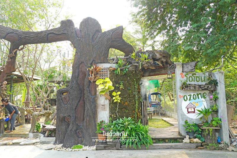 บางกะเจ้า, ดิโอโซน คาเฟ่ บางกระเจ้า, ร้านกาแฟบ้านกระเจ้า, the ozone café บางกระเจ้า, the ozone café บางกระเจ้า คาเฟ่สีเขียวกลางสวนมะพร้าว