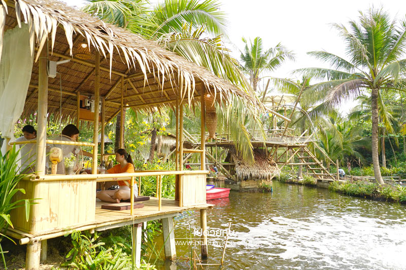 บางกะเจ้า, ดิโอโซน คาเฟ่ บางกระเจ้า, ร้านกาแฟบ้านกระเจ้า, the ozone café บางกระเจ้า, the ozone café บางกระเจ้า คาเฟ่สีเขียวกลางสวนมะพร้าว