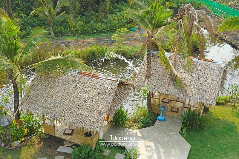 บางกะเจ้า, ดิโอโซน คาเฟ่ บางกระเจ้า, ร้านกาแฟบ้านกระเจ้า, the ozone café บางกระเจ้า, the ozone café บางกระเจ้า คาเฟ่สีเขียวกลางสวนมะพร้าว