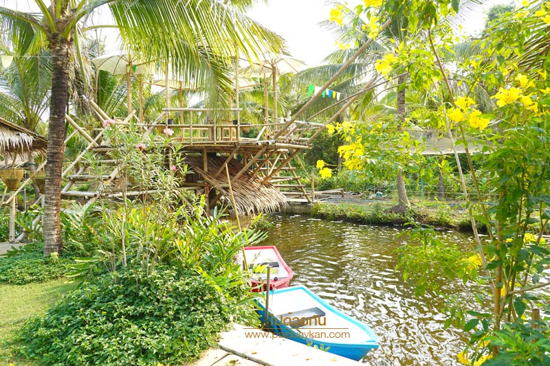 บางกะเจ้า, ดิโอโซน คาเฟ่ บางกระเจ้า, ร้านกาแฟบ้านกระเจ้า, the ozone café บางกระเจ้า, the ozone café บางกระเจ้า คาเฟ่สีเขียวกลางสวนมะพร้าว