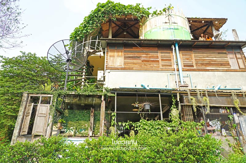 บางกะเจ้า, ดิโอโซน คาเฟ่ บางกระเจ้า, ร้านกาแฟบ้านกระเจ้า, the ozone café บางกระเจ้า, the ozone café บางกระเจ้า คาเฟ่สีเขียวกลางสวนมะพร้าว