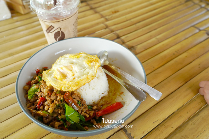 บางกะเจ้า, ดิโอโซน คาเฟ่ บางกระเจ้า, ร้านกาแฟบ้านกระเจ้า, the ozone café บางกระเจ้า, the ozone café บางกระเจ้า คาเฟ่สีเขียวกลางสวนมะพร้าว