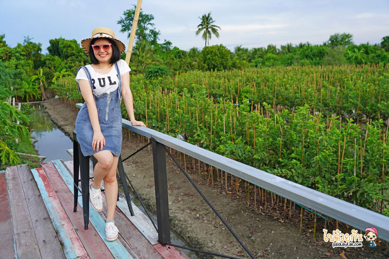 คาเฟ่สมุทรสาคร, ดีกัน คาเฟ่, ดีกัน คาเฟ่ ร้านกาแฟกลางร่องสวน ถ่ายรูปรังนกบาหลี