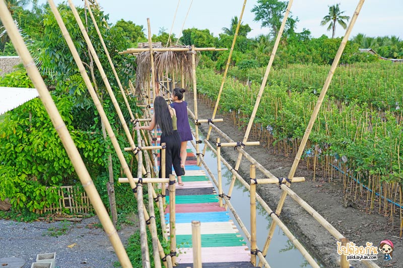 คาเฟ่สมุทรสาคร, ดีกัน คาเฟ่, ดีกัน คาเฟ่ ร้านกาแฟกลางร่องสวน ถ่ายรูปรังนกบาหลี