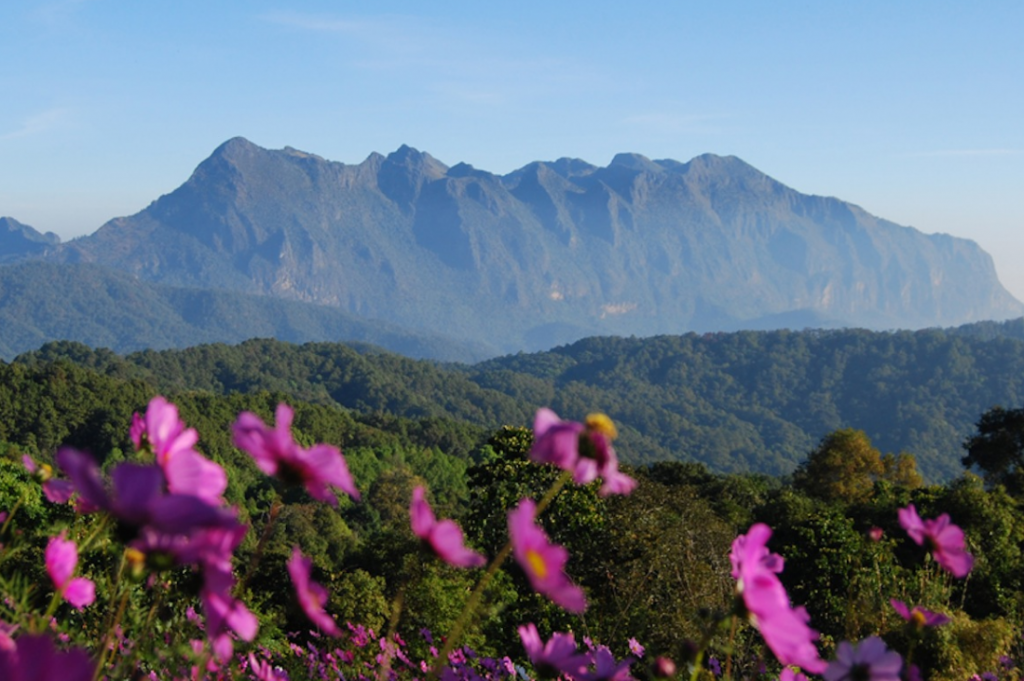 กิ่วแม่ปาน, จุดชมวิวดอยกิ่วลม, จุดชมวิวภูสอยดาว, ดอกหงอนนาค, ดอยกิ่วลม, ดอยหลวงเชียงดาว, ดอยอินทนนท์, ที่เที่ยวหน้าหนาว, ที่เที่ยวหน้าหนาว 2020, ที่เที่ยวหน้าหนาว 2563, ทุ่งดอกหงอนนาค, น้ำตกภูสอยดาว, น้ำตกแม่ยะ, ปางอุ๋ง, ปางอุ๋ง แม่ฮ่องสอน, พระมหาธาตุนภเมทนีดล, ภูชี้ฟ้า, ภูทับเบิก, ภูสอยดาว, ลานสน, ลานสนสามใบ, สะพานซูตองเป้, หมู่บ้านรักไทย, ห้วยน้ำดัง, เที่ยวกิ่วแม่ปาน, เที่ยวดอย, เที่ยวดอยอินทนนท์, เที่ยวปางอุ๋ง, เที่ยวภูชี้ฟ้า, เที่ยวภูทับเบิก, เที่ยวภูสอยดาว, เที่ยวหน้าหนาว, เที่ยวห้วยน้ำดัง, เที่ยวเชียงราย, เที่ยวเชียงใหม่, เที่ยวเพชรบูรณ์, เที่ยวแม่ฮ่องสอน, ไร่กะหล่ำปลี, top 9+ ที่เที่ยวหน้าหนาว สัมผัสสายหมอก และธรรมชาติของเมืองไทย